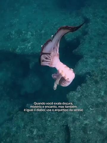 @Madu 🧜🏼♀️