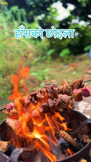 @Shreesha Acharya
