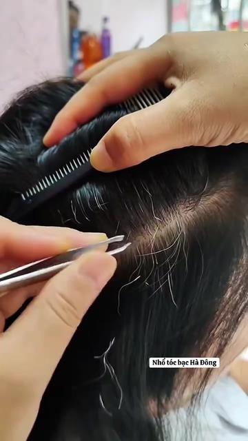 @Nhổ tóc bạc Hà Đông