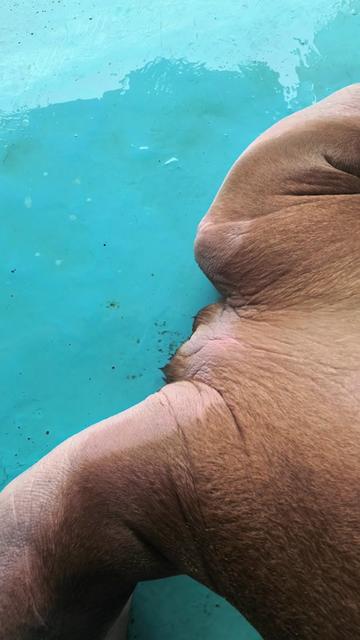 @Seal2028