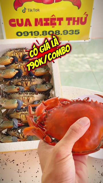 @Tuananh Do