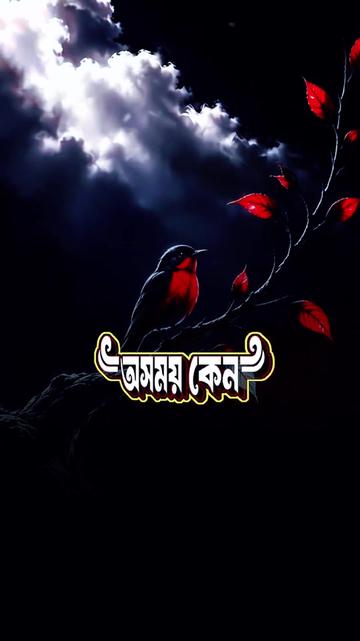 @@_SMSHOHAG_1