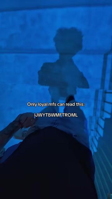 @6vlex🦉
