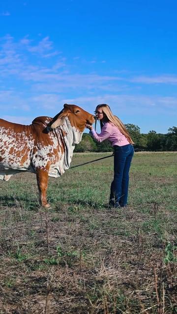 @The V6 Ranch