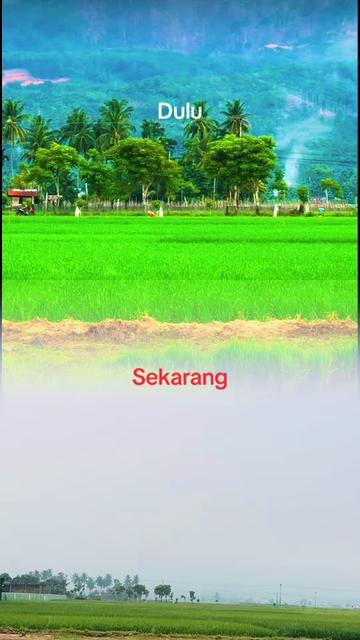 @Abana Tauthiah