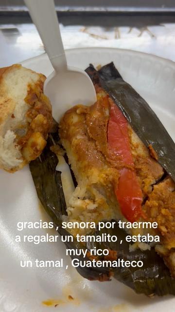 @latiarosa68