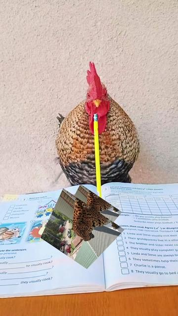 @auraful_animals