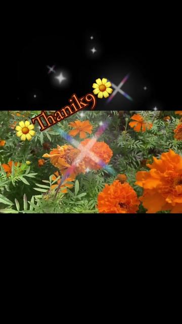 @Thanik