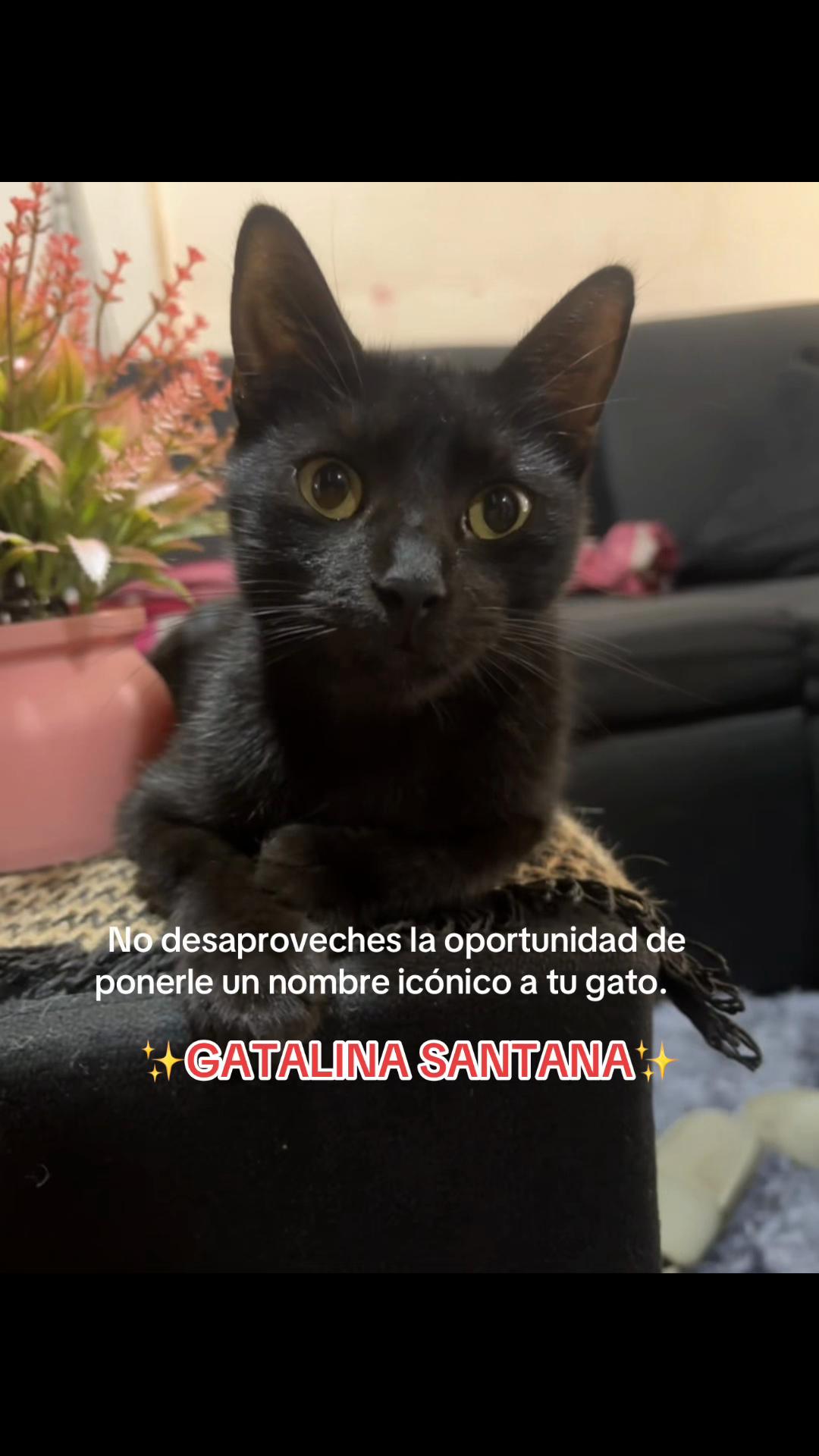 @Danicxa