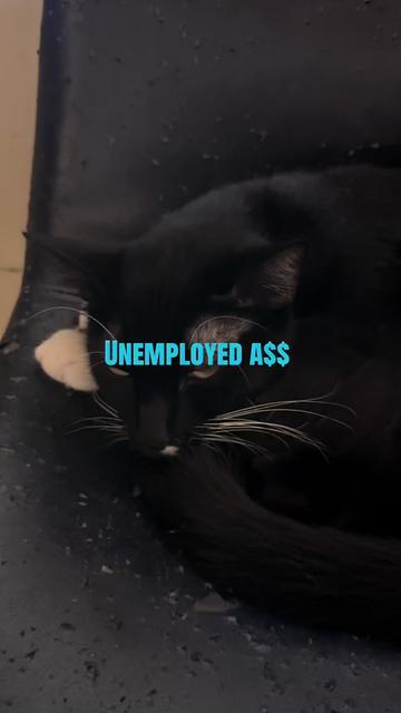 @lazywitch66