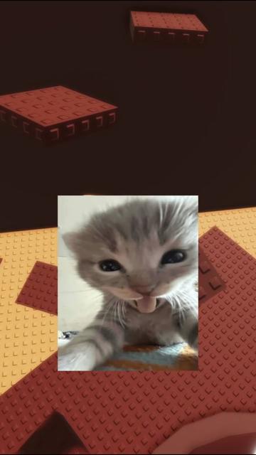 @pierants