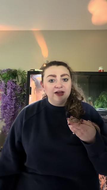 @Megan 🦎 🐈