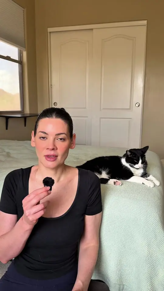 @Feminist Kitty | Cat Nutrition