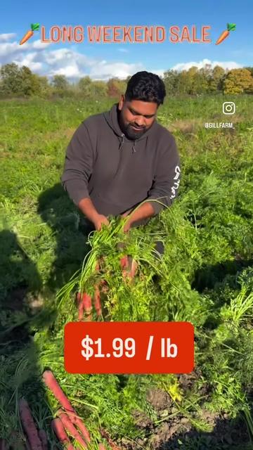 @GillFarm_Caledon
