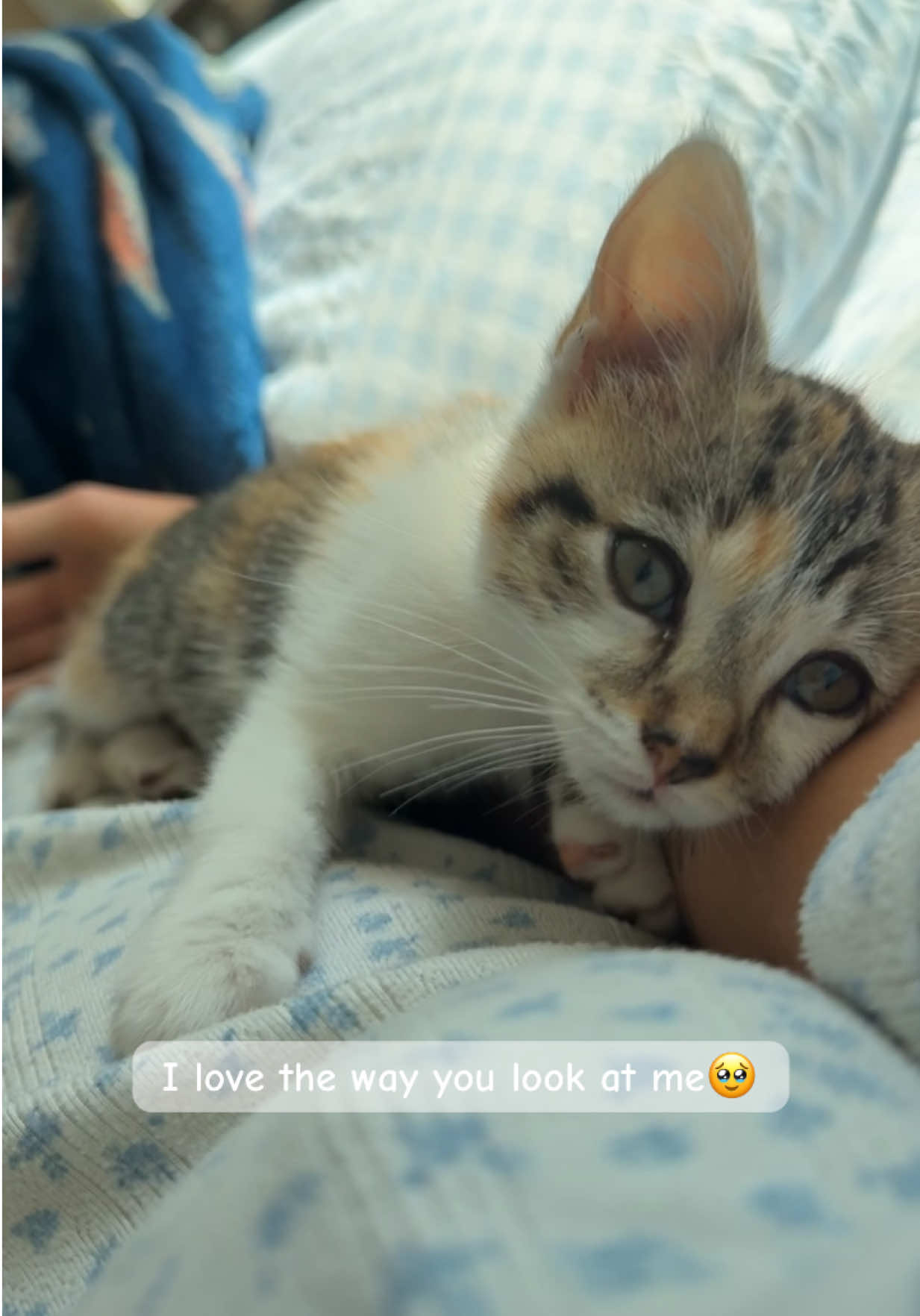 @Pyper