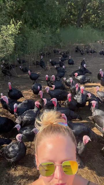 @farmerandtheharpiist