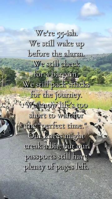 @Kate McNicholas TravelMovement