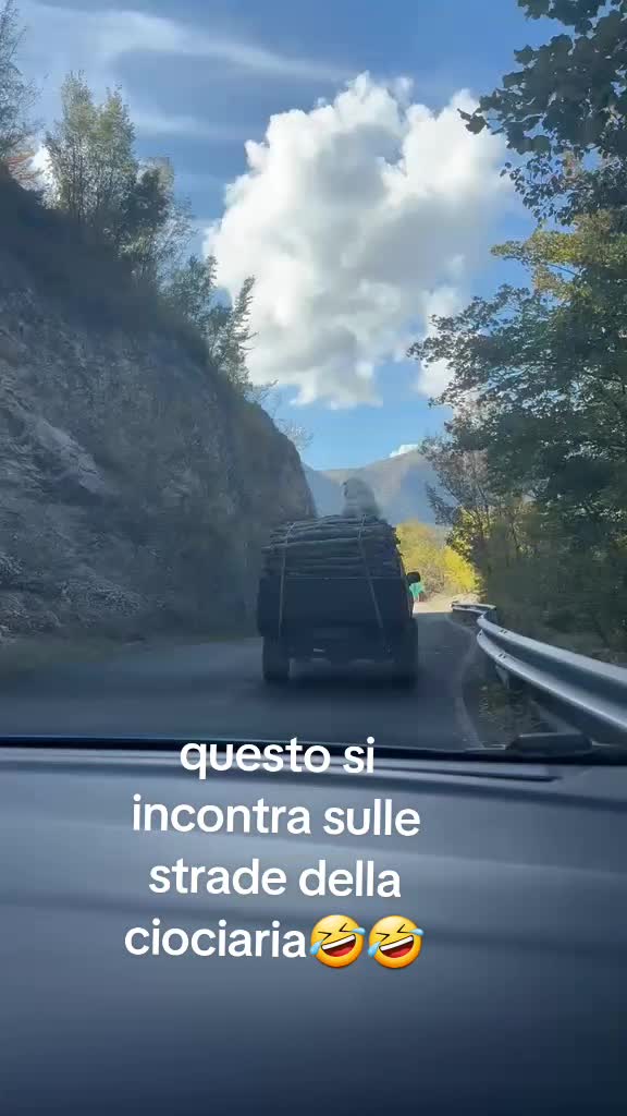 @franco senato