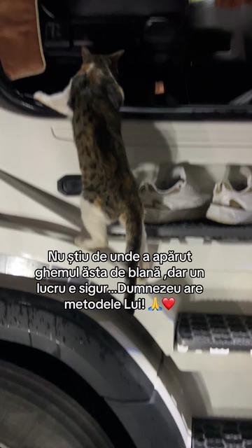 @🇪🇺🇷🇴ALEX.B🇮🇹🇪🇺