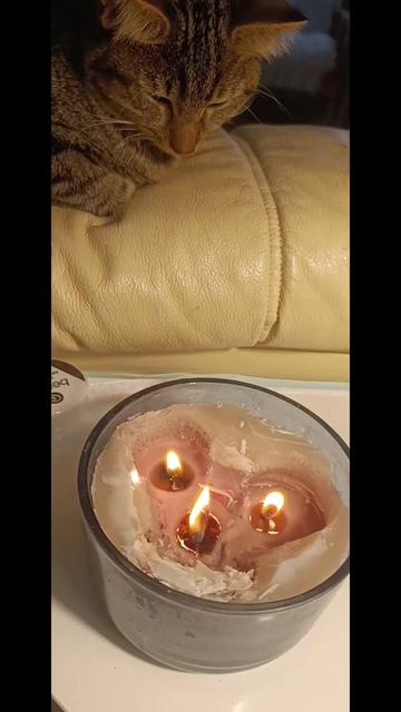 @ToniaNatureHealing