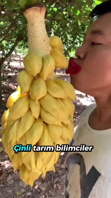 @beynegrafya