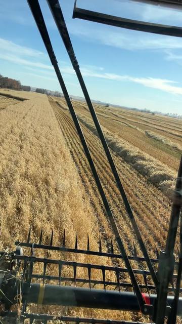 @bf48farmer