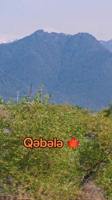 @Qəbələdə əmlak satışı