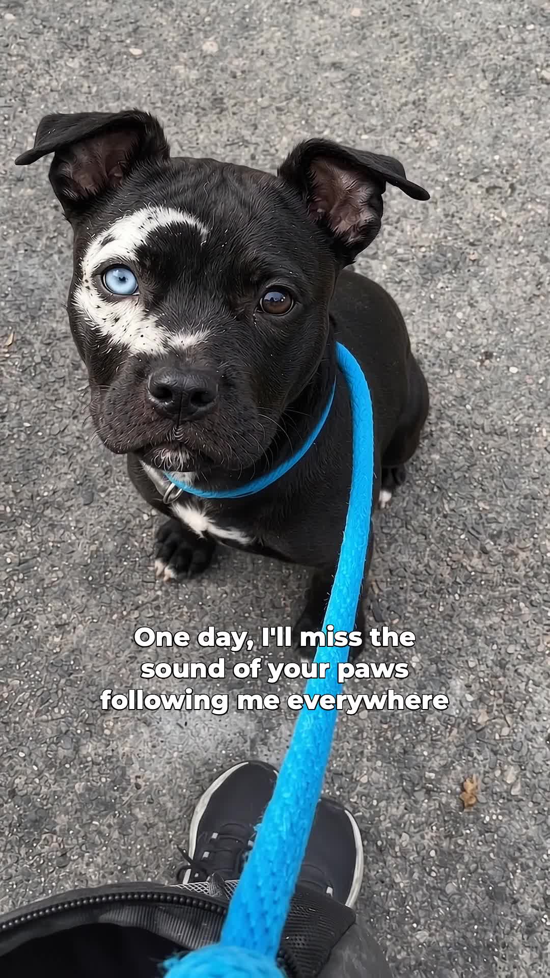 @moonfetches
