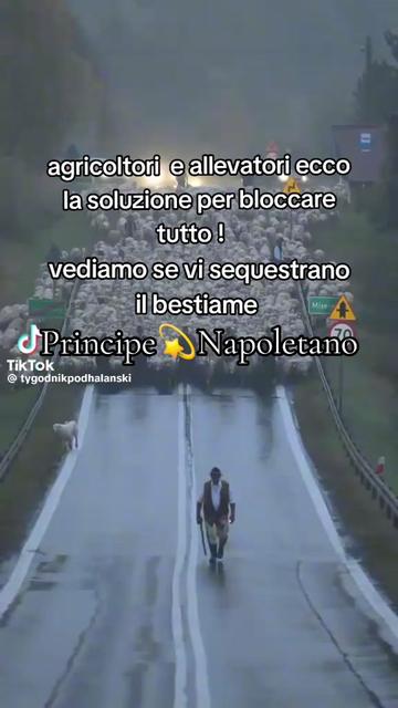 @🌟Principe💫Napoletano🌟