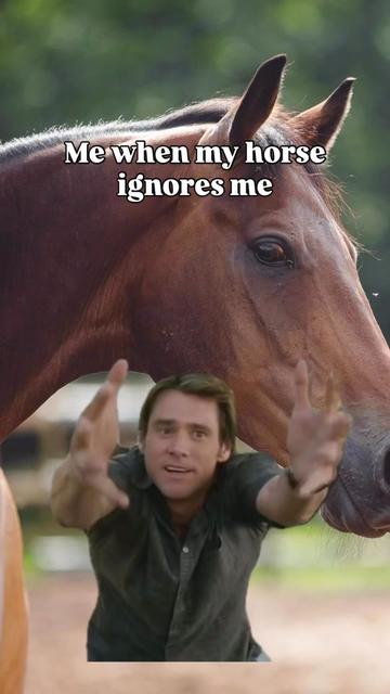 @Young Rider