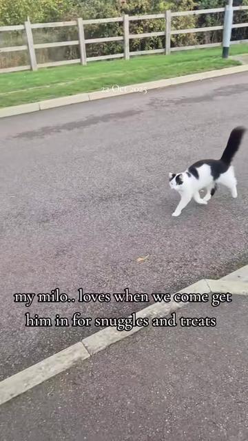 @Chelle moore