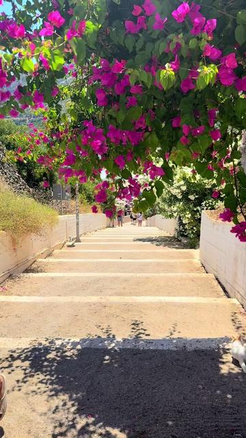 @Crete