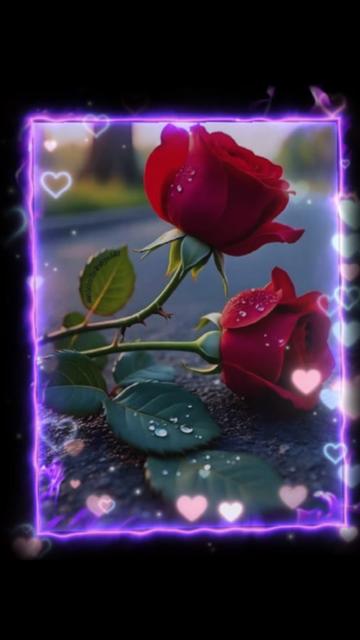 @Islamer Alo