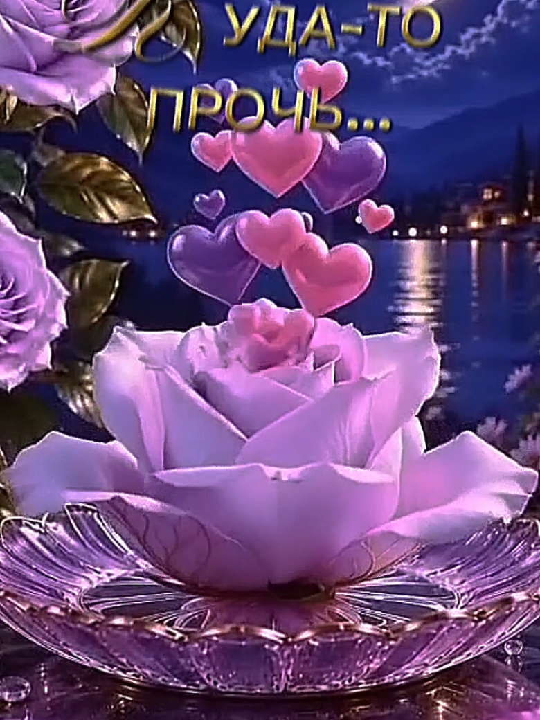 @꧁࿇♥𝓢𝓿𝓮𝓽𝓵𝓪𝓷𝓪꧁♥࿇꧂