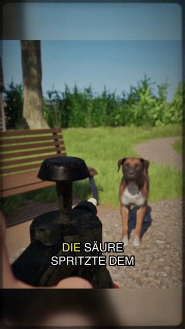 @Mittealterliche