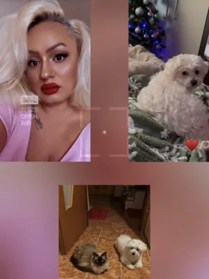 @🎀Kristin🎀Kristin🎀