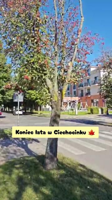 @moda