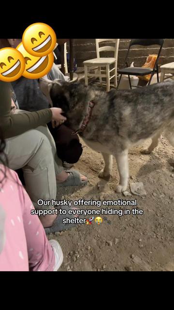 @Nala & Bella 💜