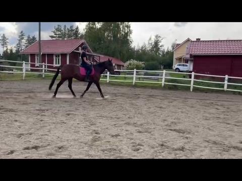 @Team.Toikkanen🇫🇮💞