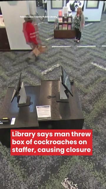 @KPTV FOX 12 Oregon