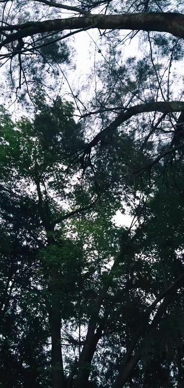 @repartiendoarte0