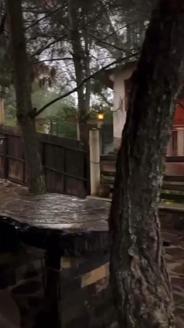 @CurioTemaS