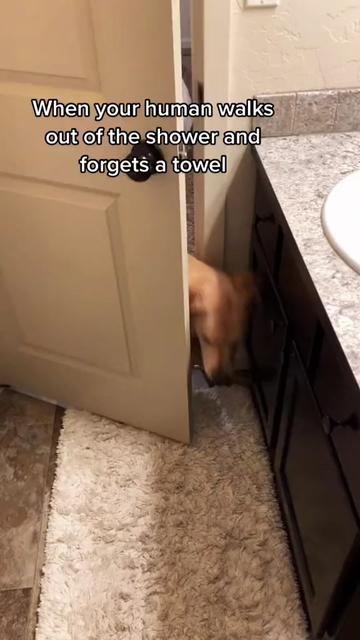 @George The Golden