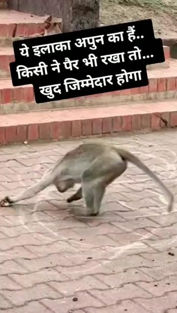 @tannu3133