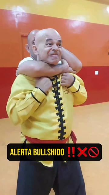 @Mestre Vin&iacute;cius Salvato
