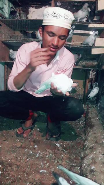 @SD Àŕbaz