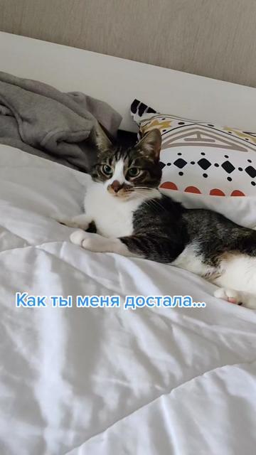 @Miki Мики