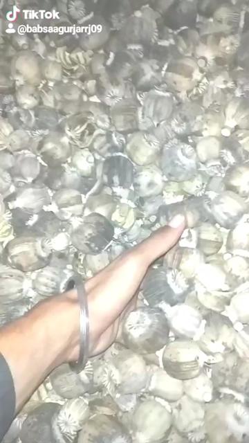 @Rj09 Taskar Area ๐