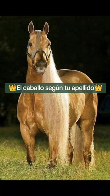 @Guillermo⚡☘️