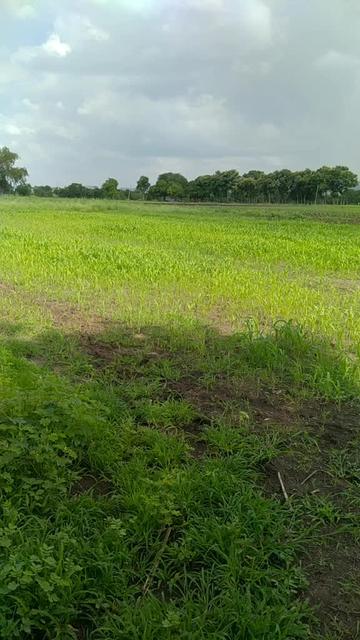 @महेश भाऊ पाटिल660
